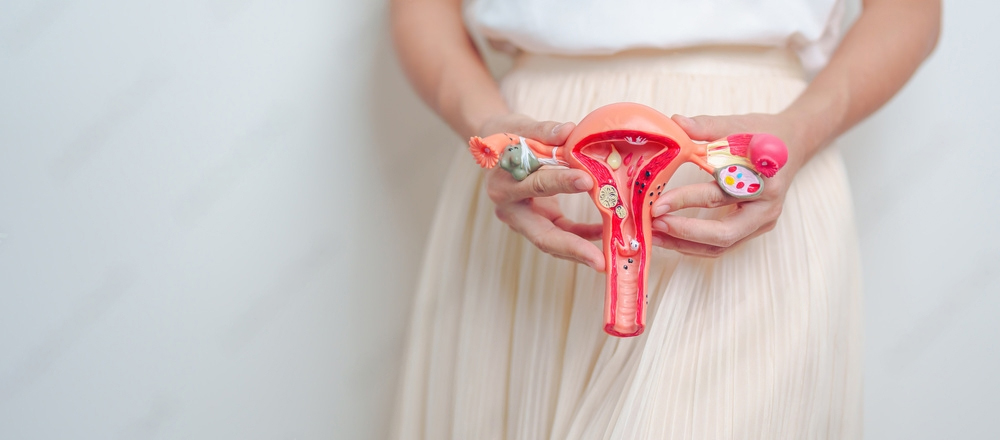 woman holding Uterus